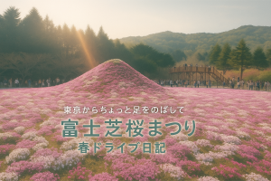 【東京から近場ドライブ】本栖湖リゾート 富士芝桜まつり満開の芝桜と富士山【ゴールデンウィークの混雑は】
