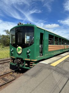 釧路湿原ノロッコ号に初めて乗ってみた｜おすすめ座席と塘路駅からのサイクリング
